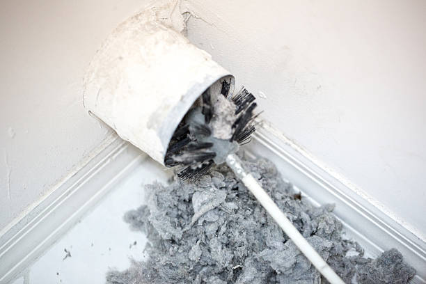 Best Affordable Duct Cleaning Services  in Nettleton, MS